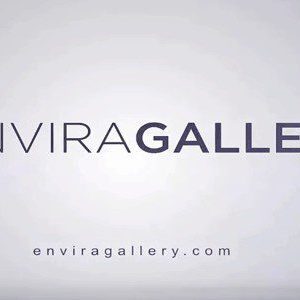 Envira Gallery