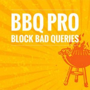 BBQ Pro — Блокировка плохих запросов на сайт WordPress
