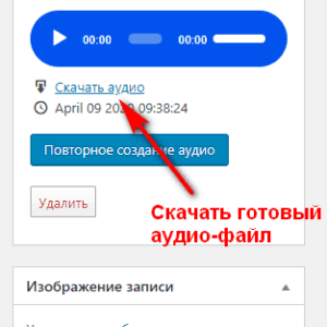 Speaker — WordPress Плагин преобразования страниц в речь