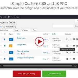 Simple Custom CSS and JS PRO - полный контроль над дизайном wordpress