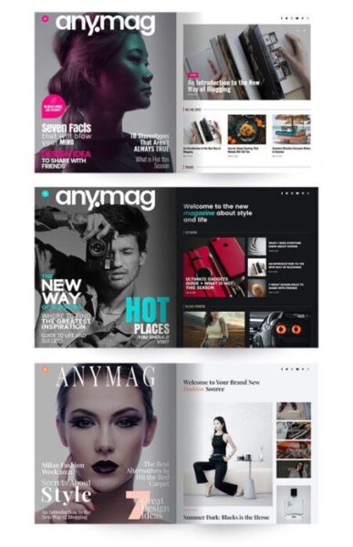 Anymag - WordPress блог — изображение 2