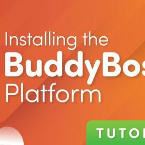 BuddyBoss — Platform Theme