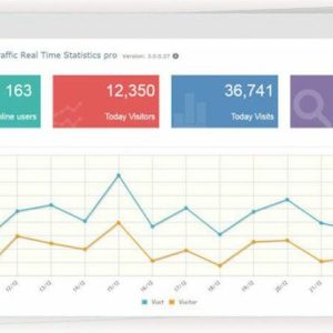 Visitor Traffic Real Time Statistics PRO - Статистика посещаемости в реальном времени - плагин статистики посещаемости.