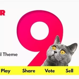 Bimber — Вирусная тема WordPress