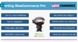 Sorting WooCommerce Pro — Сортировка Продуктов