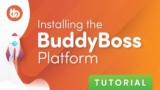 BuddyBoss Theme 2.15.1 + BuddyBoss Platform Pro 2.10.1 — Платформа Интернет Сообщества
