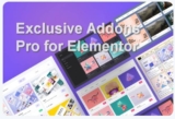 Exclusive Addons Pro for Elementor