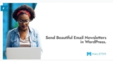 Mailster 4.1.16 — Email Рассылка на WordPress (Mailster на русском)