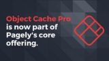 Object Cache Pro (Redis Cache Pro) v1.24.3