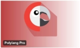 Polylang Pro v3.7.8 — Мультиязычный плагин