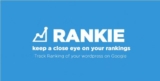 Rankie — SEO WordPress плагин для отслеживания рейтингов- трекер рейтинга